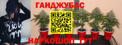 мдпв Севастополь