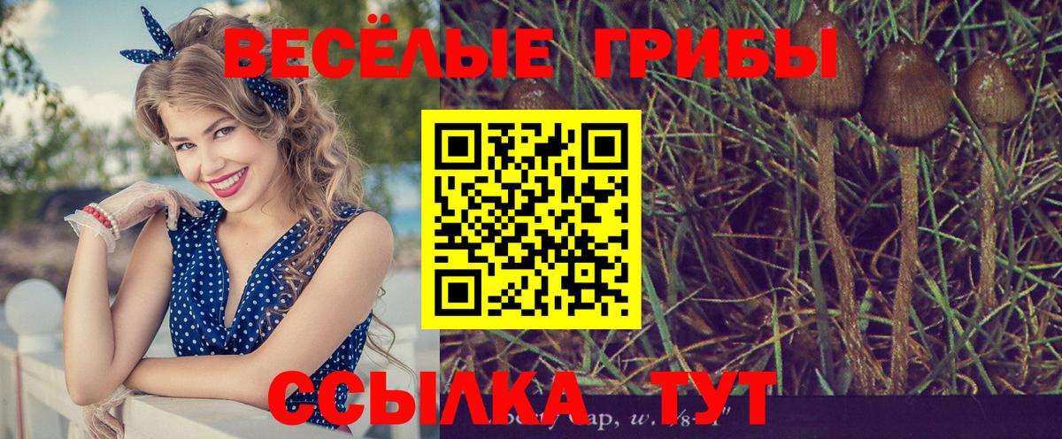 Галлюциногенные грибы ЛСД  Вход с VPN  Первоуральск  Галлюциногенные грибы Magic Shrooms 